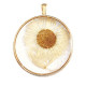 Pendant with dried flowers 35mm - Gold-beige